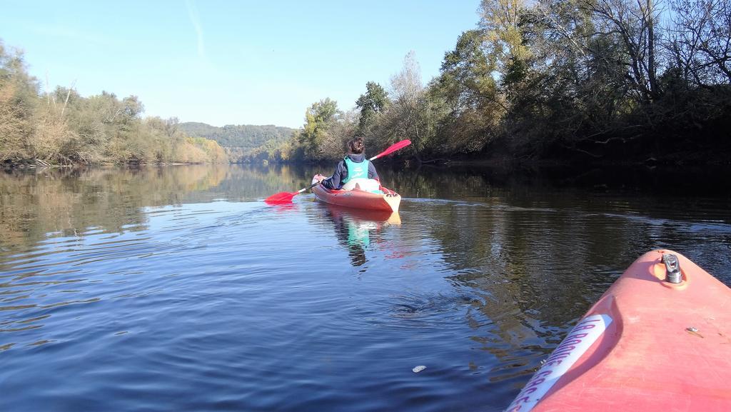 Au Pied Du Chateau - 5 A 11 Personnes - Baignade-Canoe-Piste Cyclable A 100 M Кастелно Ла Шапел Екстериор снимка