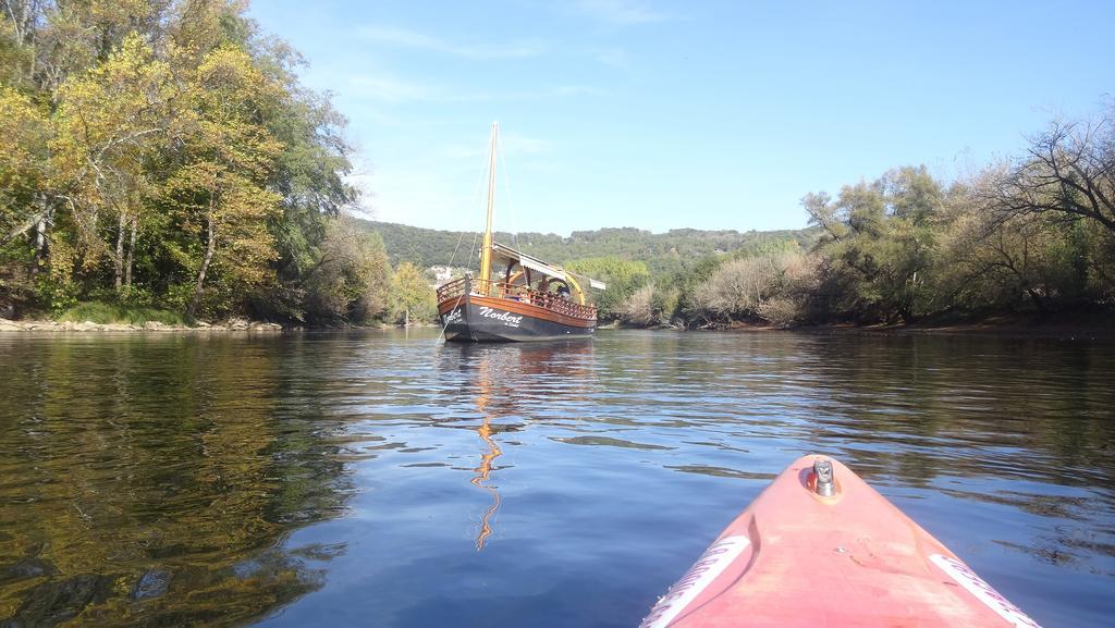 Au Pied Du Chateau - 5 A 11 Personnes - Baignade-Canoe-Piste Cyclable A 100 M Кастелно Ла Шапел Екстериор снимка
