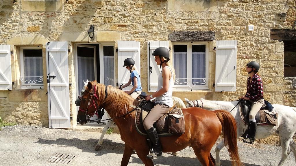 Au Pied Du Chateau - 5 A 11 Personnes - Baignade-Canoe-Piste Cyclable A 100 M Кастелно Ла Шапел Екстериор снимка